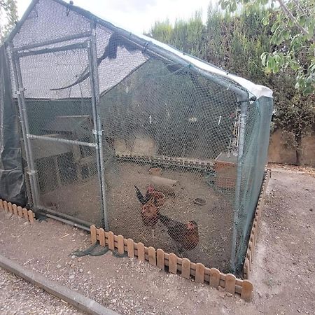Casita De Invitados En Otura Luaran gambar